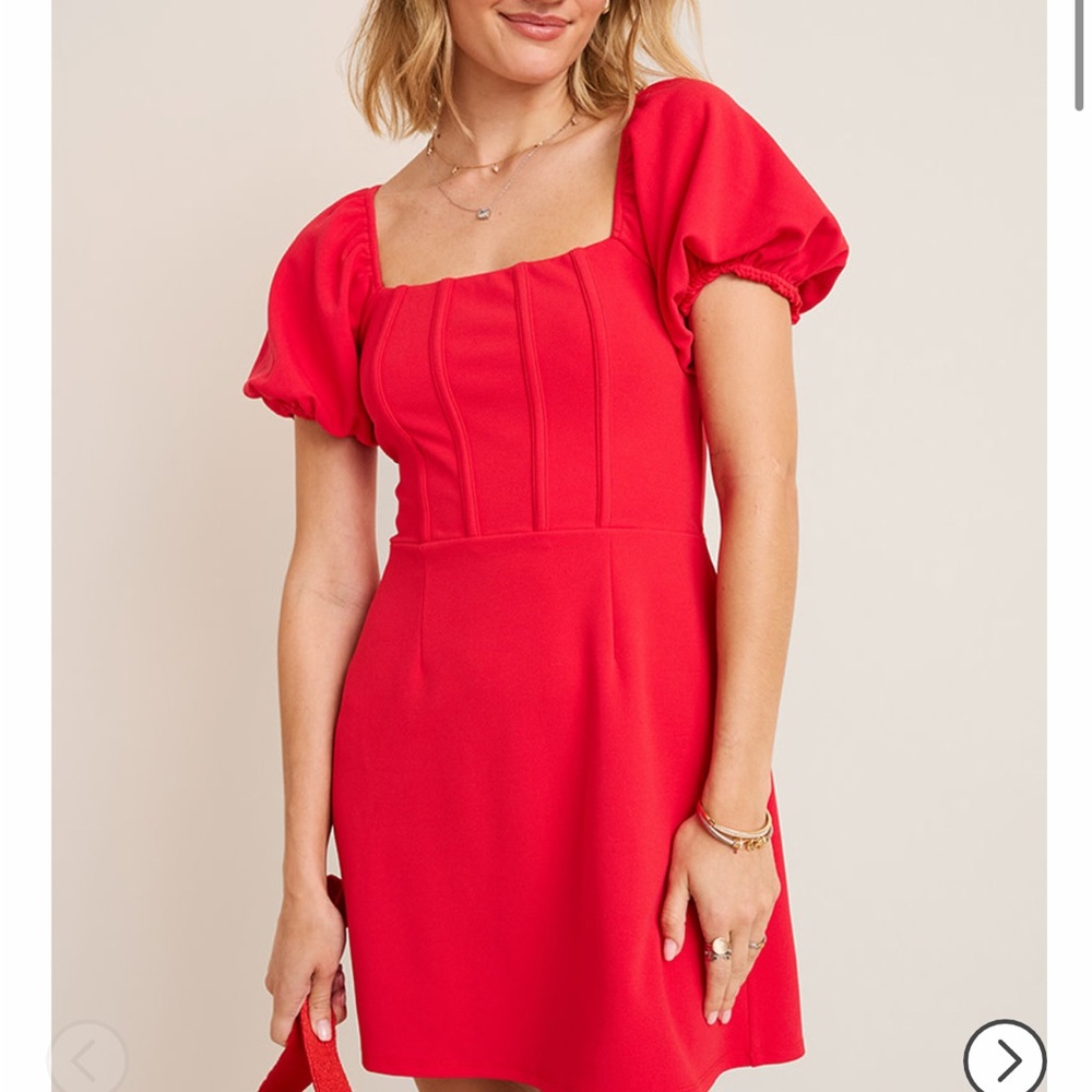 Francesca's Collections Vibrant Red Mini Dress